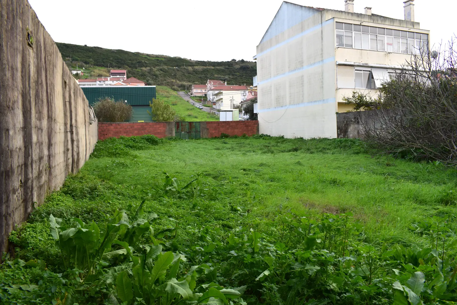 Other — Pontinha