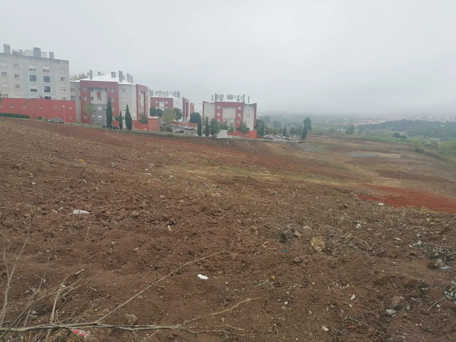 Other — Amadora