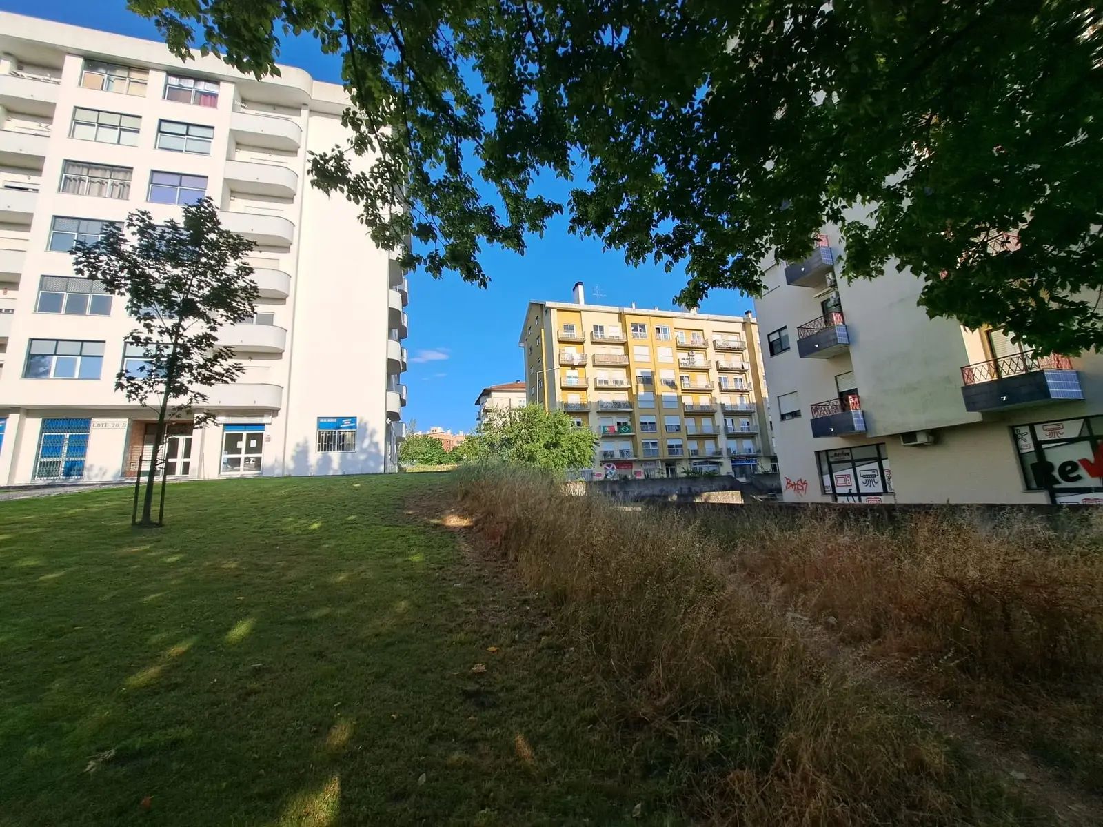 Land — Viseu